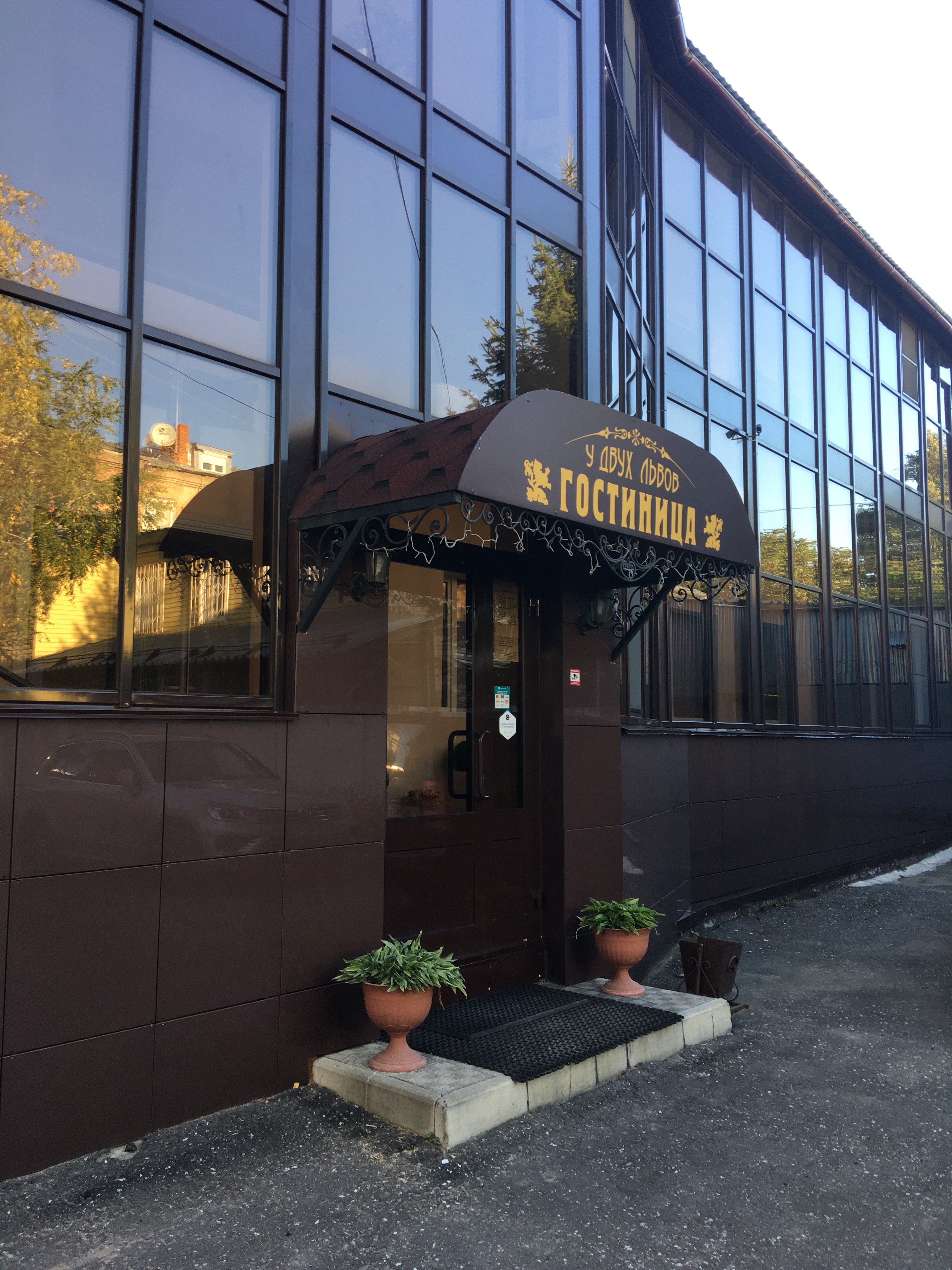 Фото У двух львов