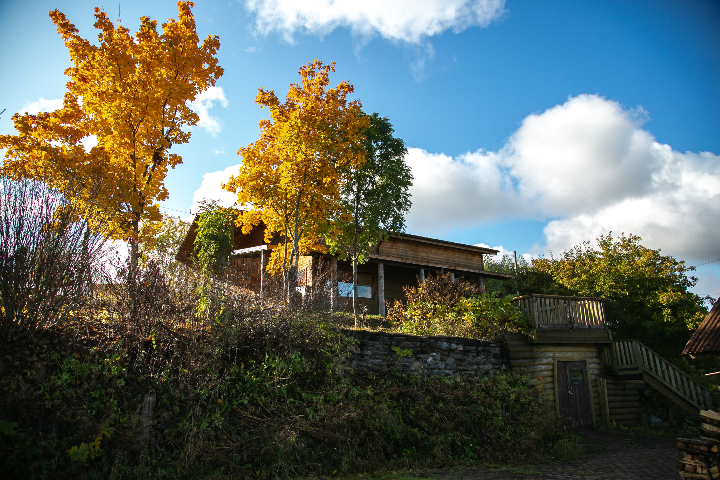 Фото Ладога Марина