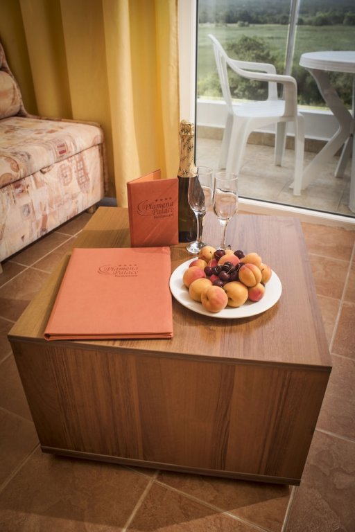 Фото Hotel Plamena Palace