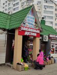 Забавные Детки (rabochiy posyolok Severny, Olimpiyskaya Street, 45/2), children's clothing store