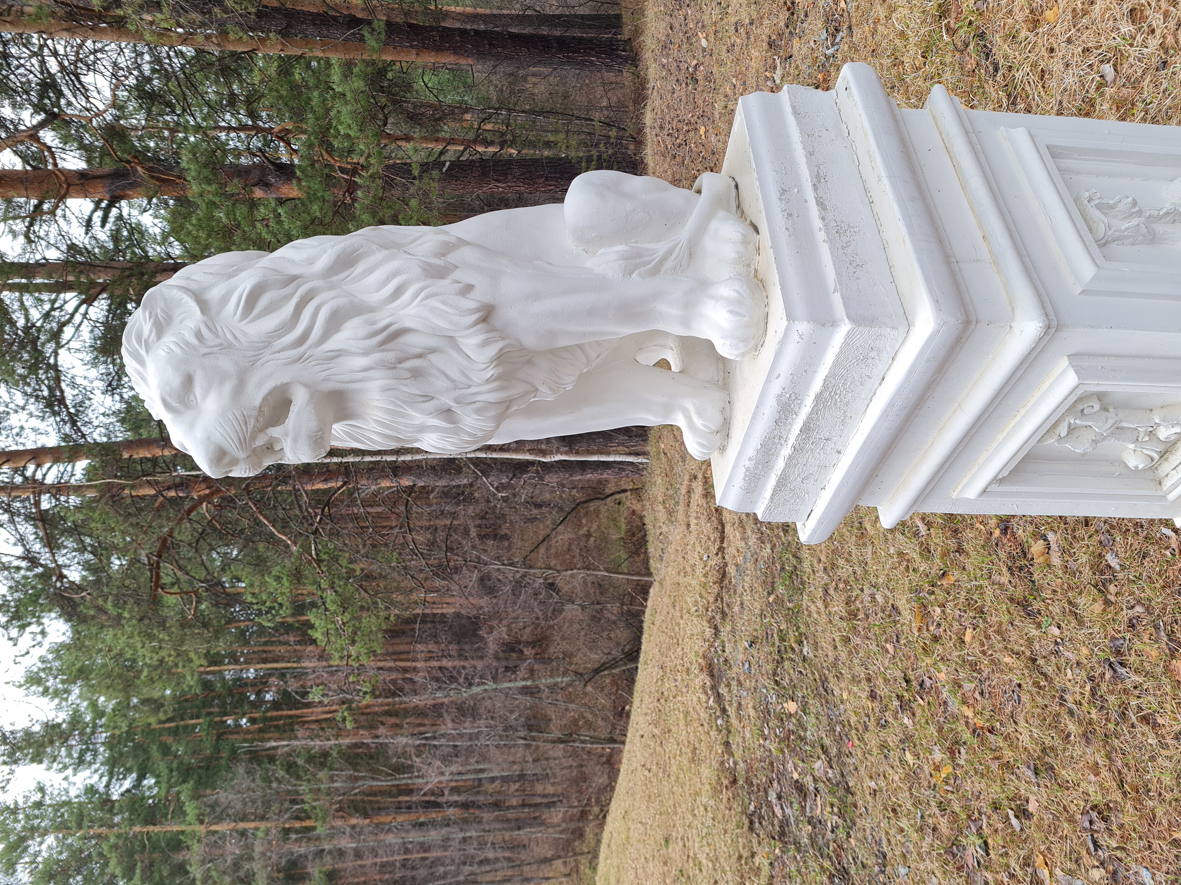 Фото Иволга