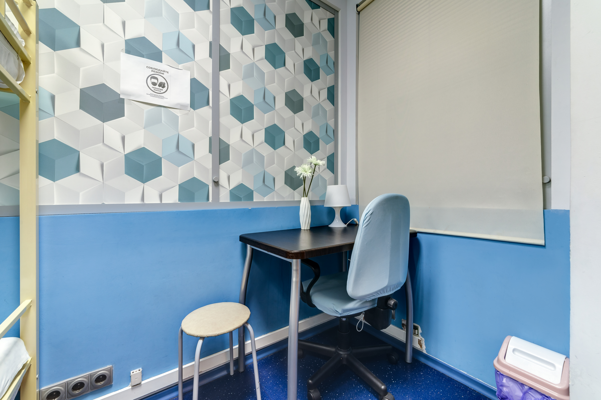 Фото Никитская капсула