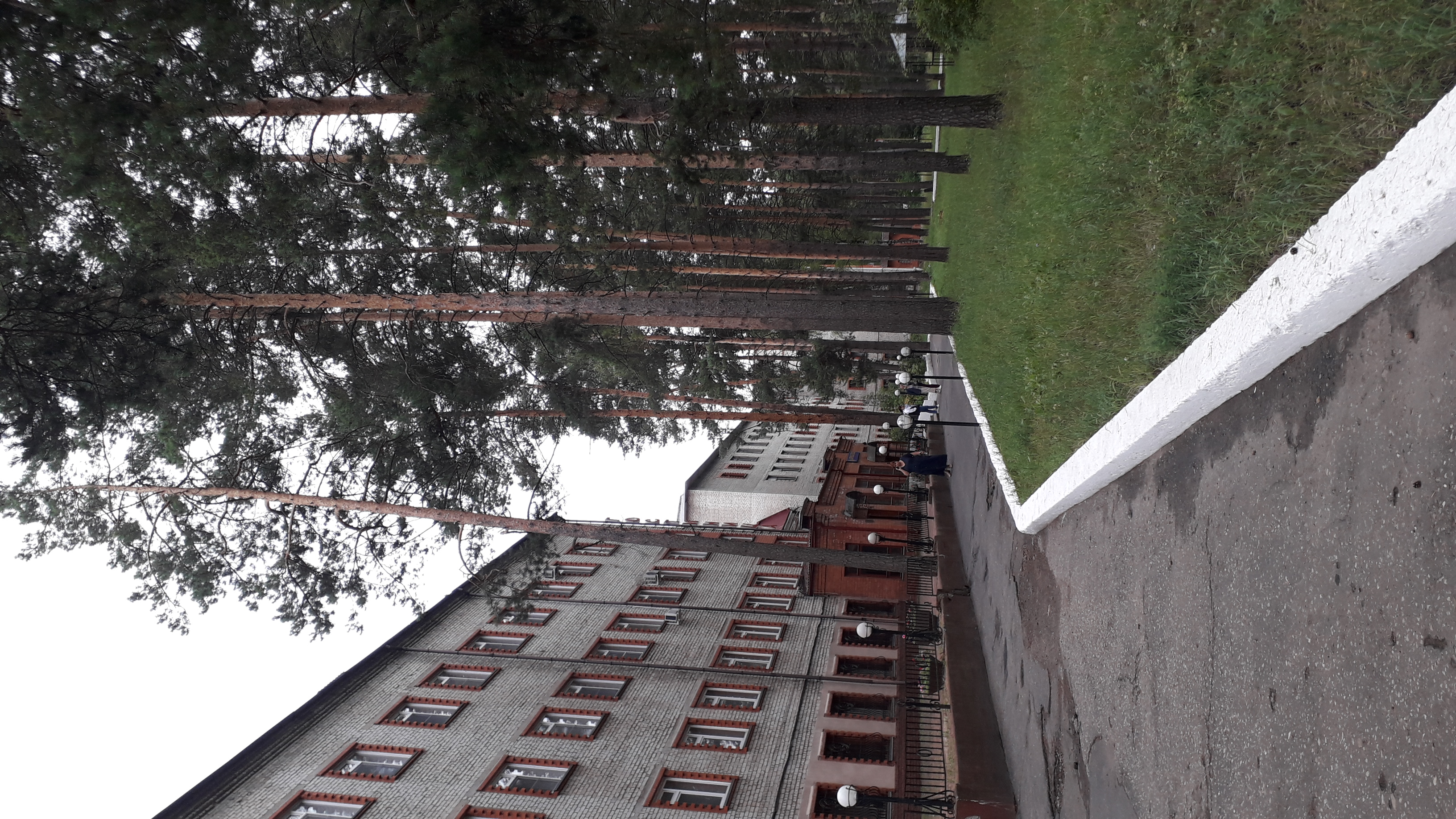 Фото Баринова роща