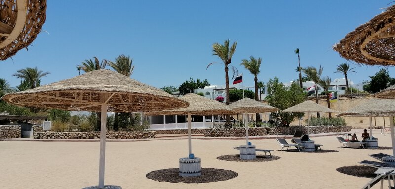 Дом Отдыха Domina Oasis Resort в Шарм-эль-Шейхе