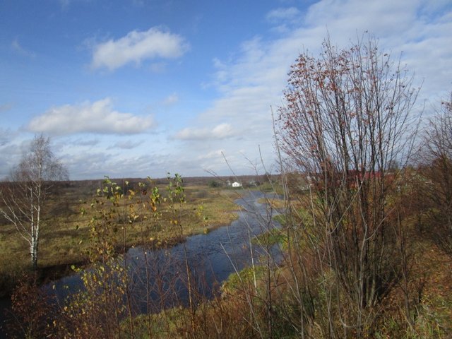 Фото В гостях у тёти Гали