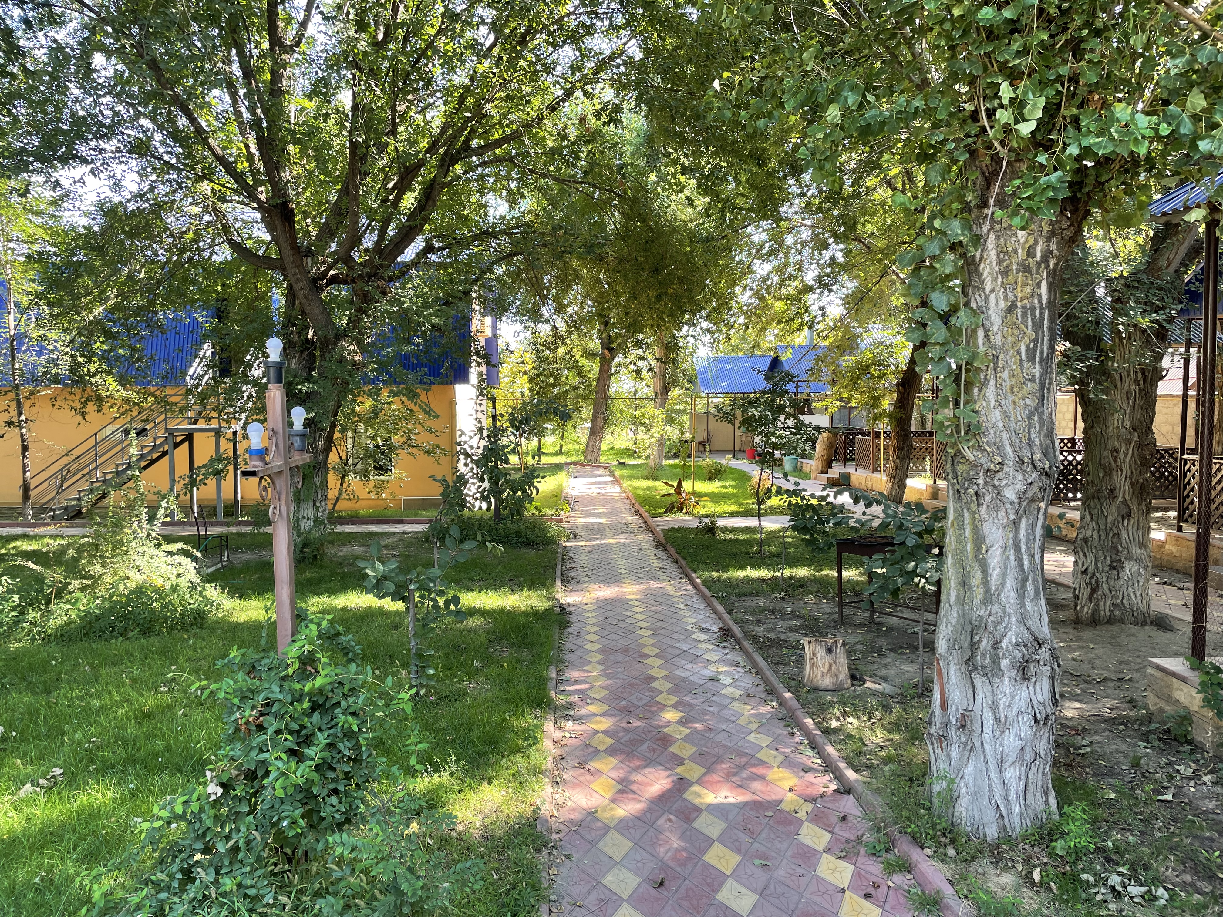 Фото Грин Вилл