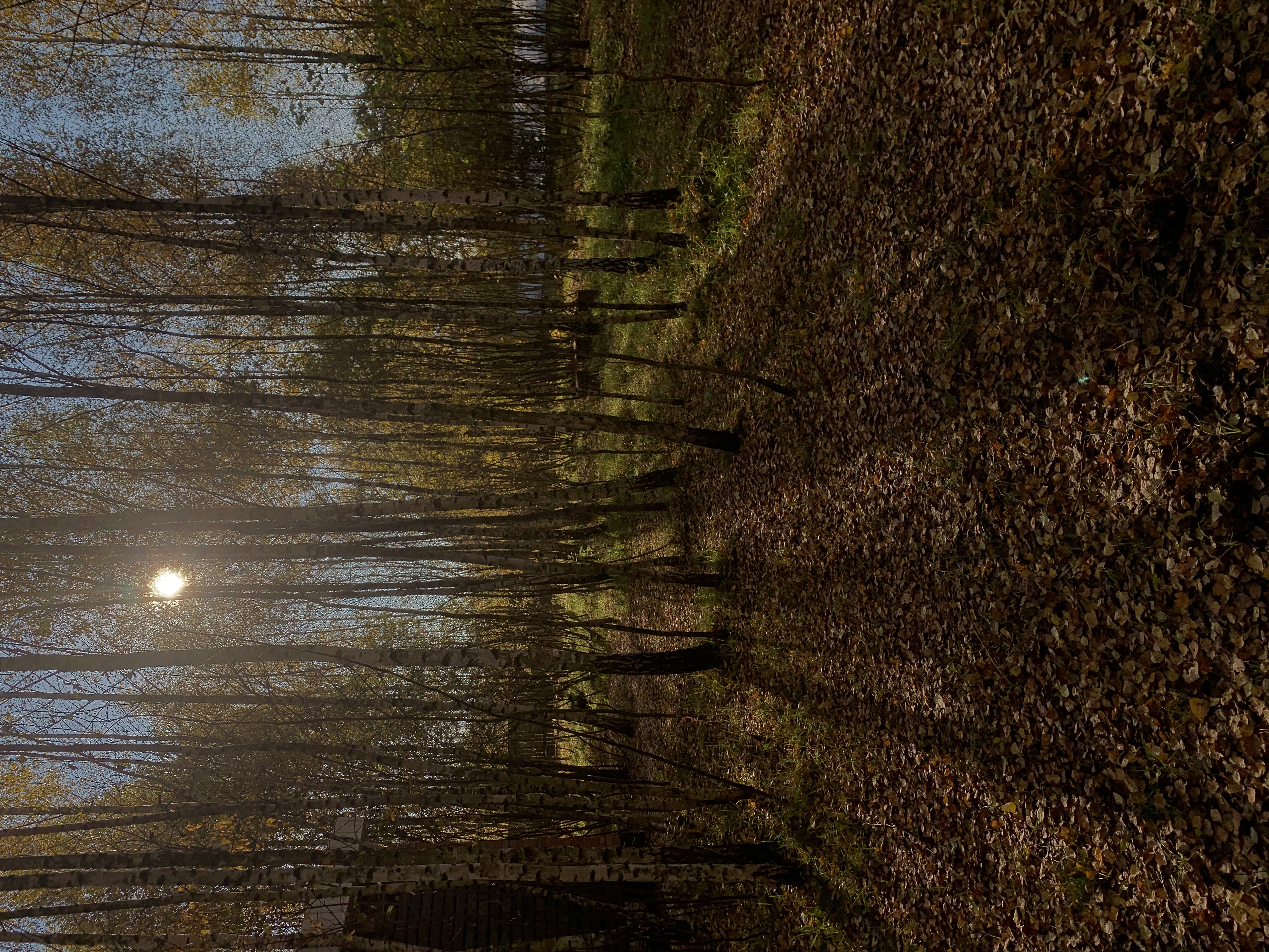 Фото Эко-горный