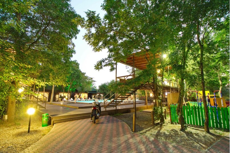 Фото Поляна