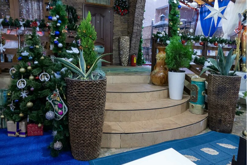 Фото Арт Ковчег