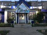 Kolibri (Magistralnaya Street, 3), flowers and bouquets delivery