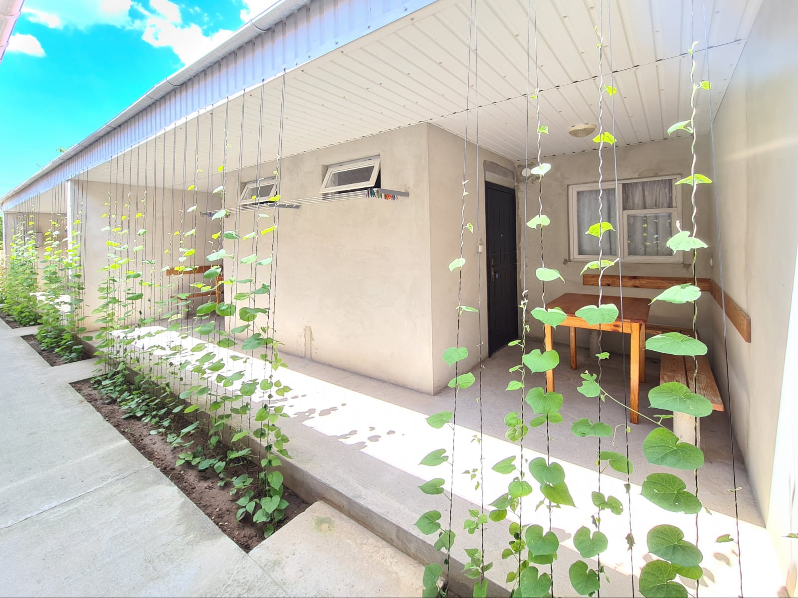 Фото Южный Берег