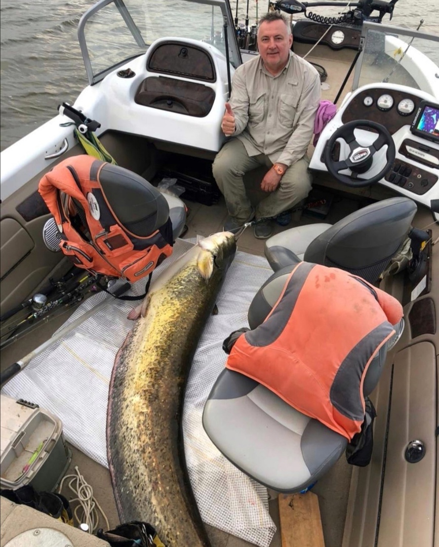 Фото Авалон