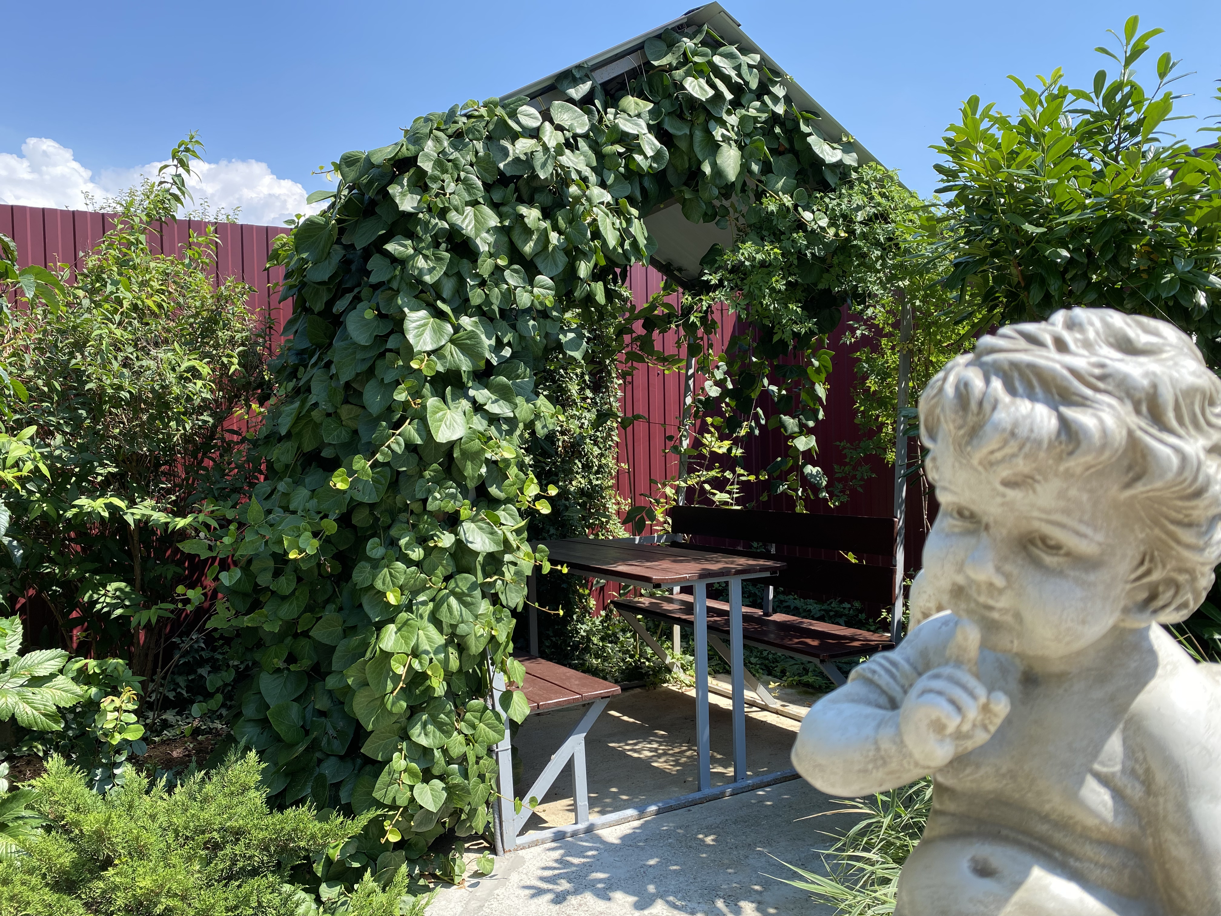 Фото Околоморье