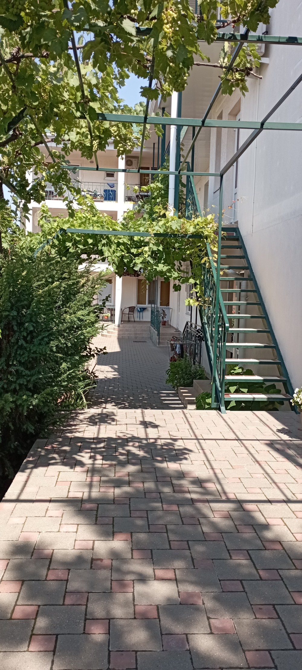 Фото Вилла Терраса