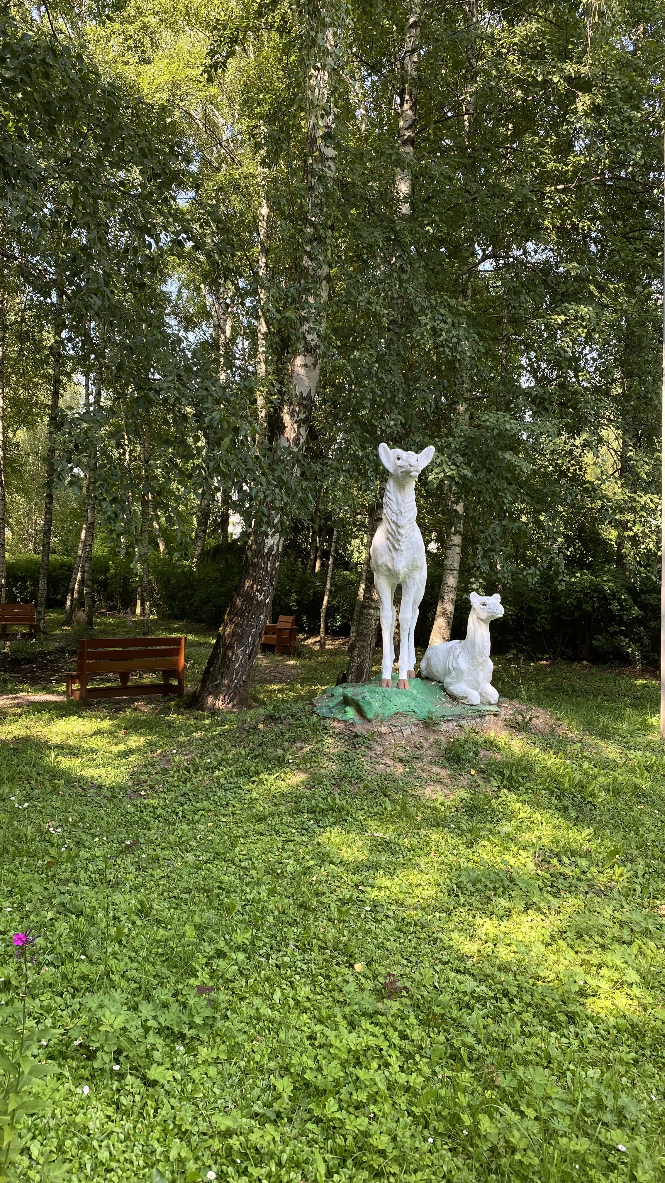 Фото Спортивная