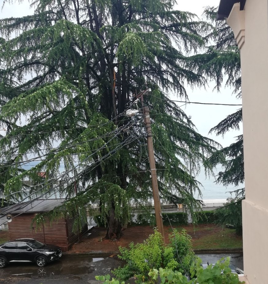 Фото Гостевой Дом Старый Сухум