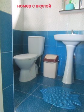 Фото Цветок папоротника