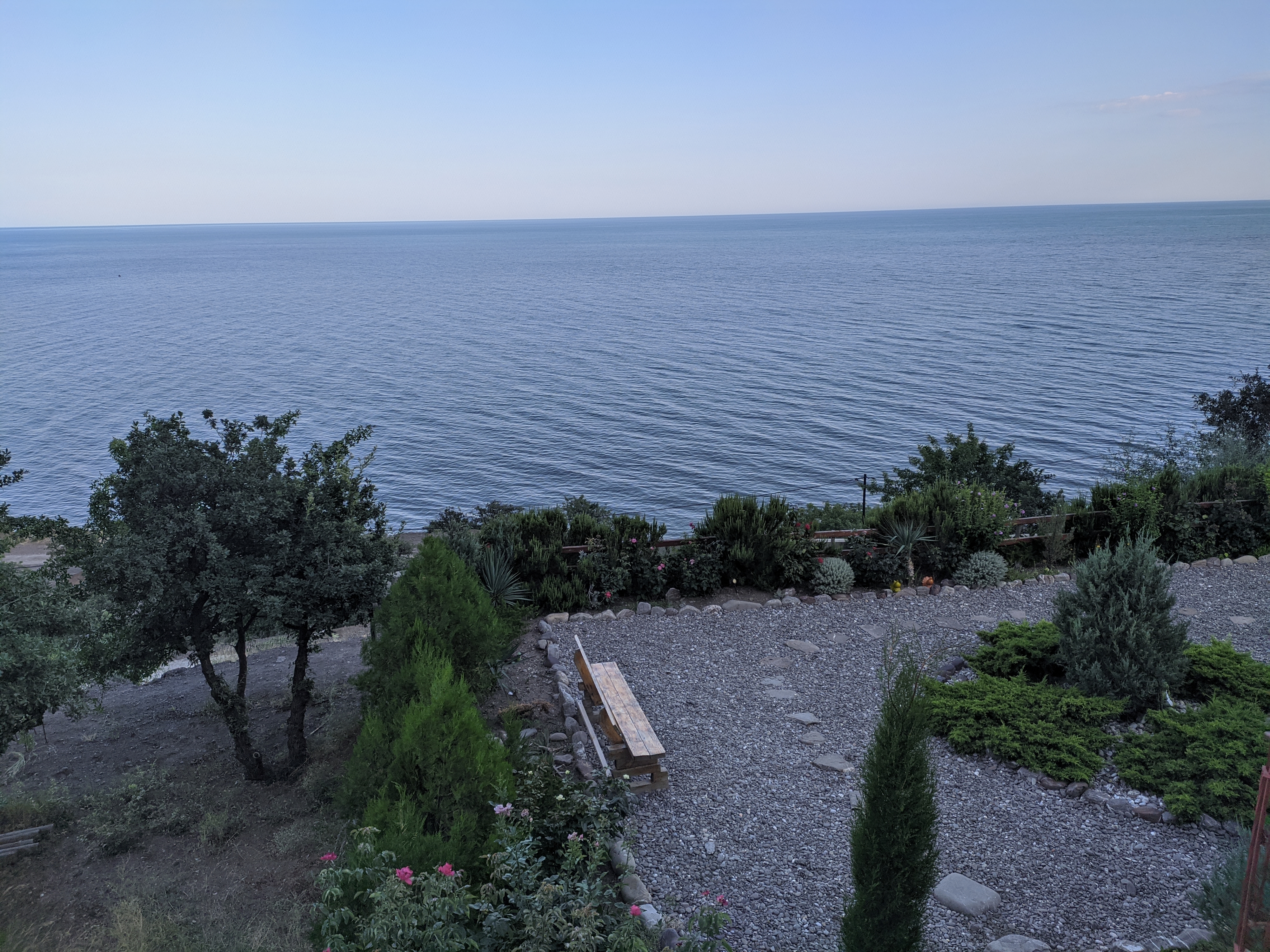 Фото Афалина