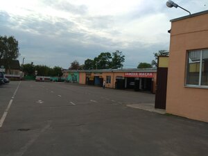 Пинская Станция Автотехобслуживания (ул. Черняховского, 80), автосервис, автотехцентр в Пинске