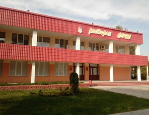 Ресторан СОЖ, Ветка, фото