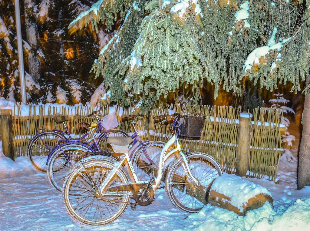 Фото Беловежское поместье