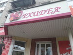 Orkhideya (prospekt Tsiolkovskogo, 27) ، متجر ملابس