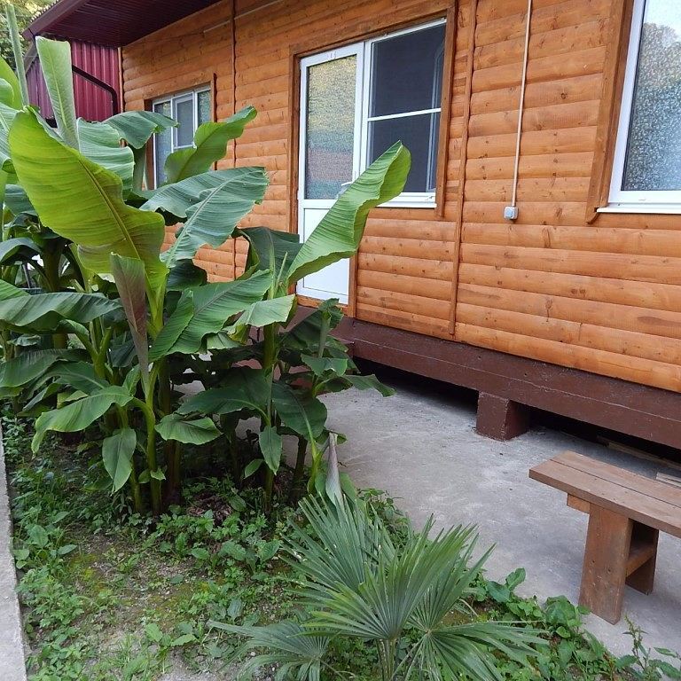 Фото Тихая Гавань