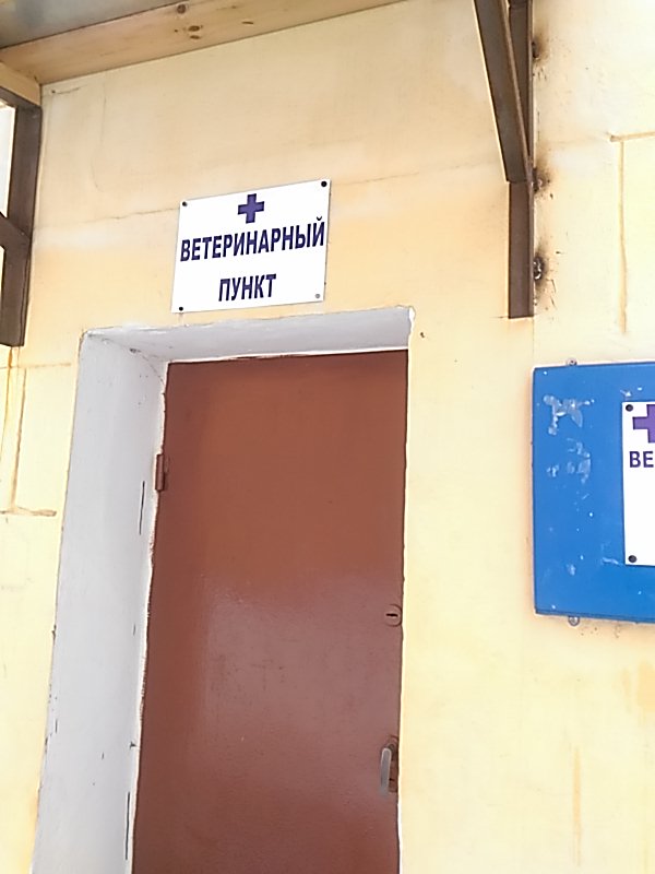 Ветеринарный пункт - фото 19