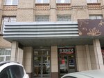 BleskServis (Kosmonavtov Highway, 111Е), cleaning services