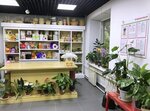 ЦВЕточка (ул. Тимирязева, 4, Челябинск), магазин цветов в Челябинске