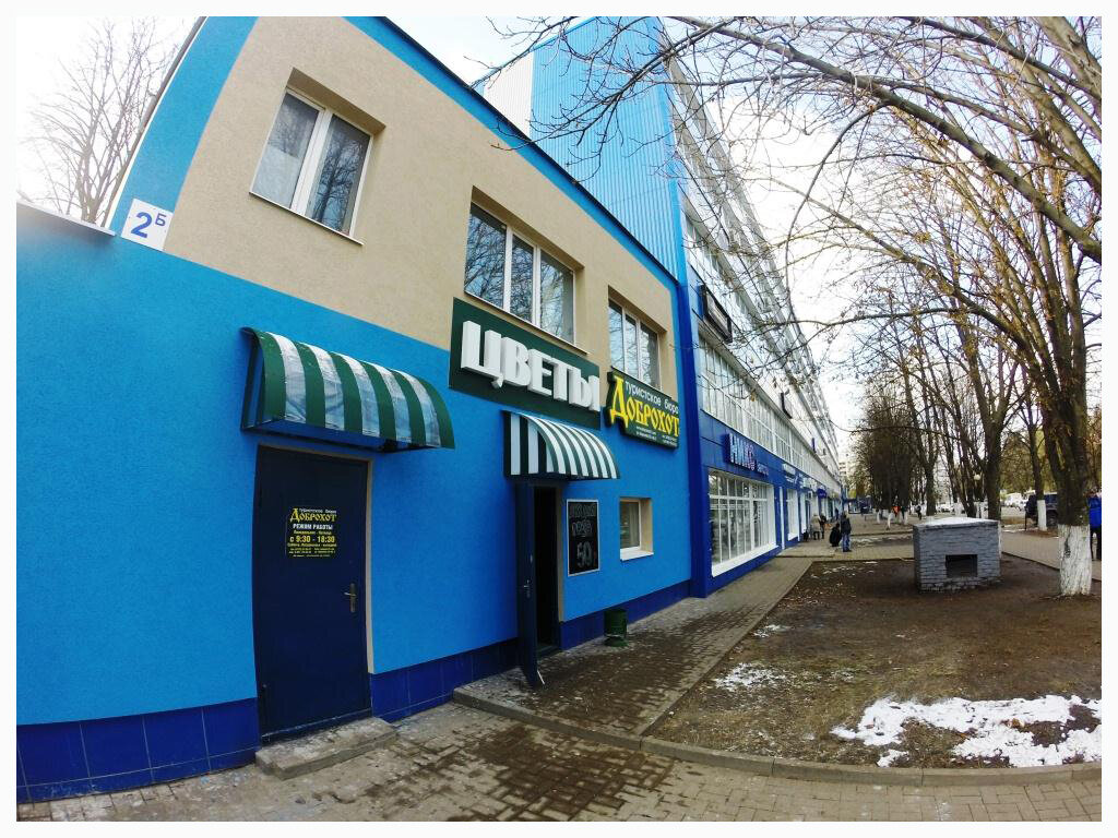 Магазин На Королева Белгород