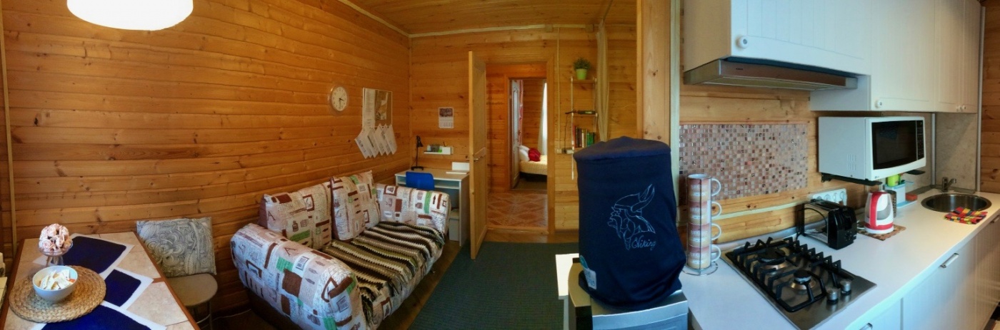 Фото Викинг