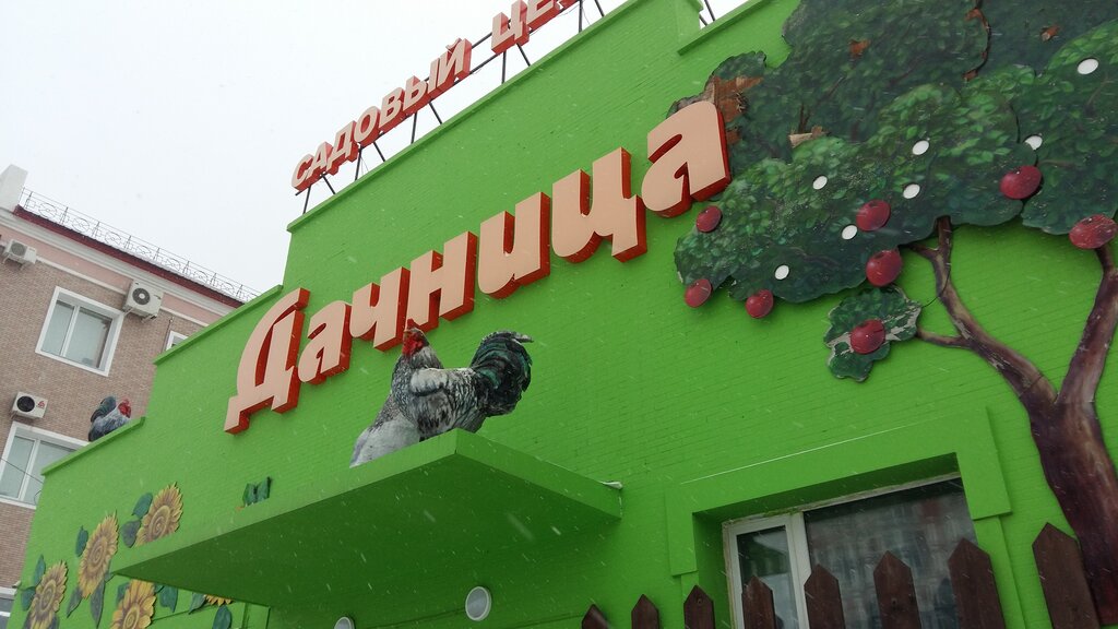 Магазин Дачница В Благовещенске Каталог Товаров