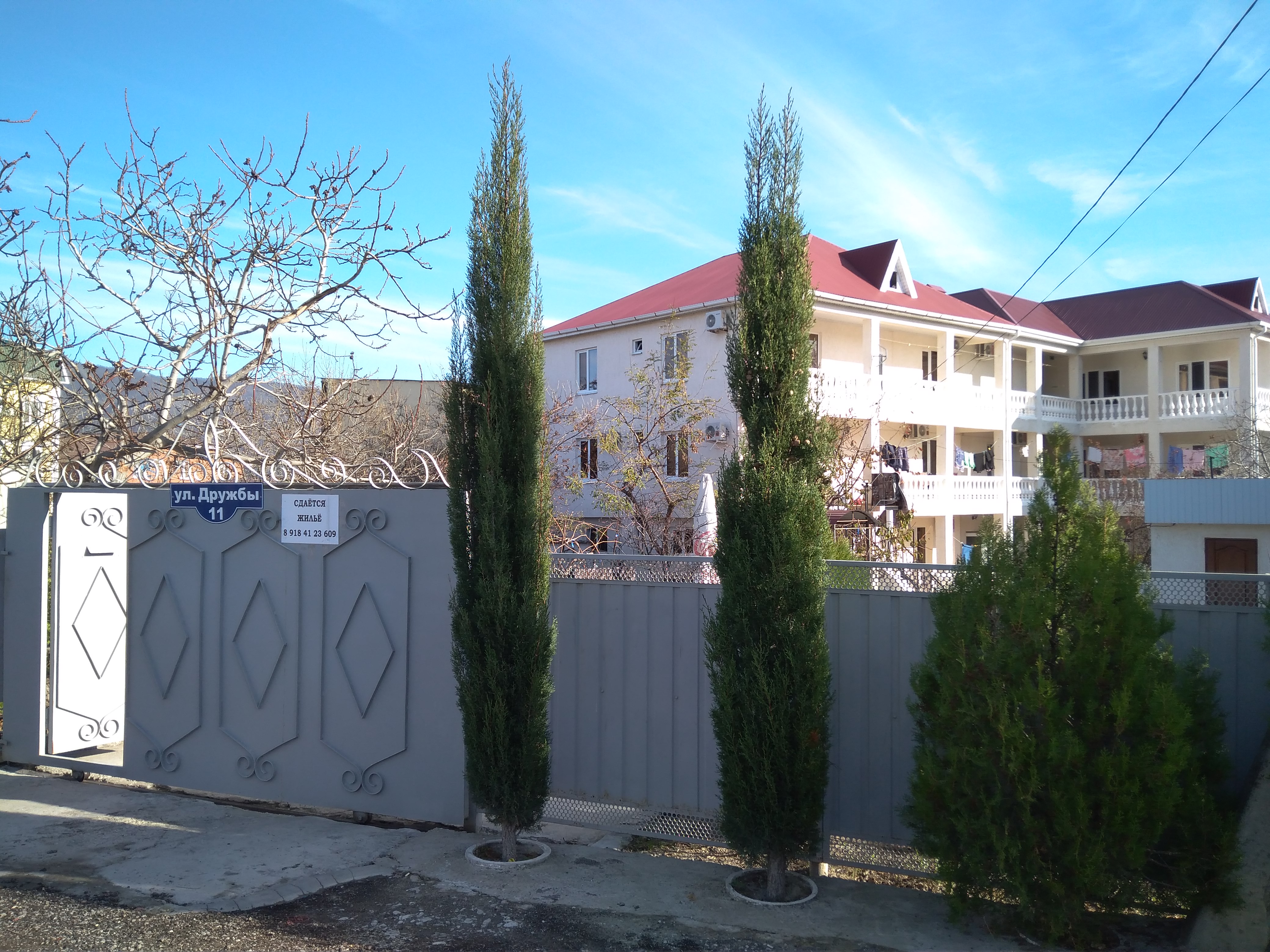 Фото Дружба