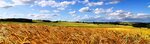 КФХ Абрамова (Kemerovo — Kuzbass Region, Topkinskiy munitsipalny okrug, derevnya Unga, ulitsa Khutor Abramova), fodder and feed additives