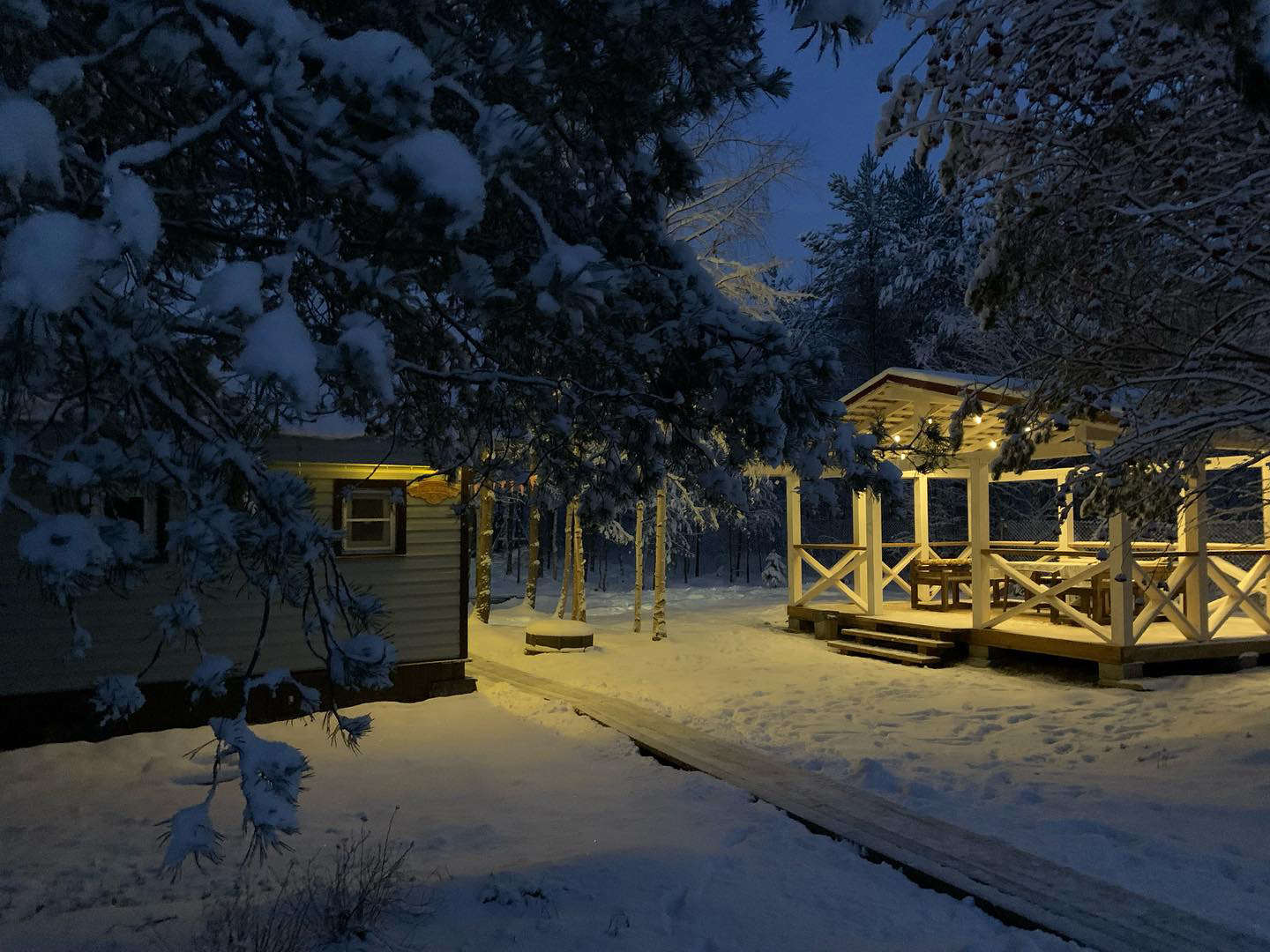 Фото Вереск