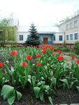 Докучаевская средняя общеобразовательная школа (posyolok Voznesenskiy, ulitsa Duzhnova, 37), school