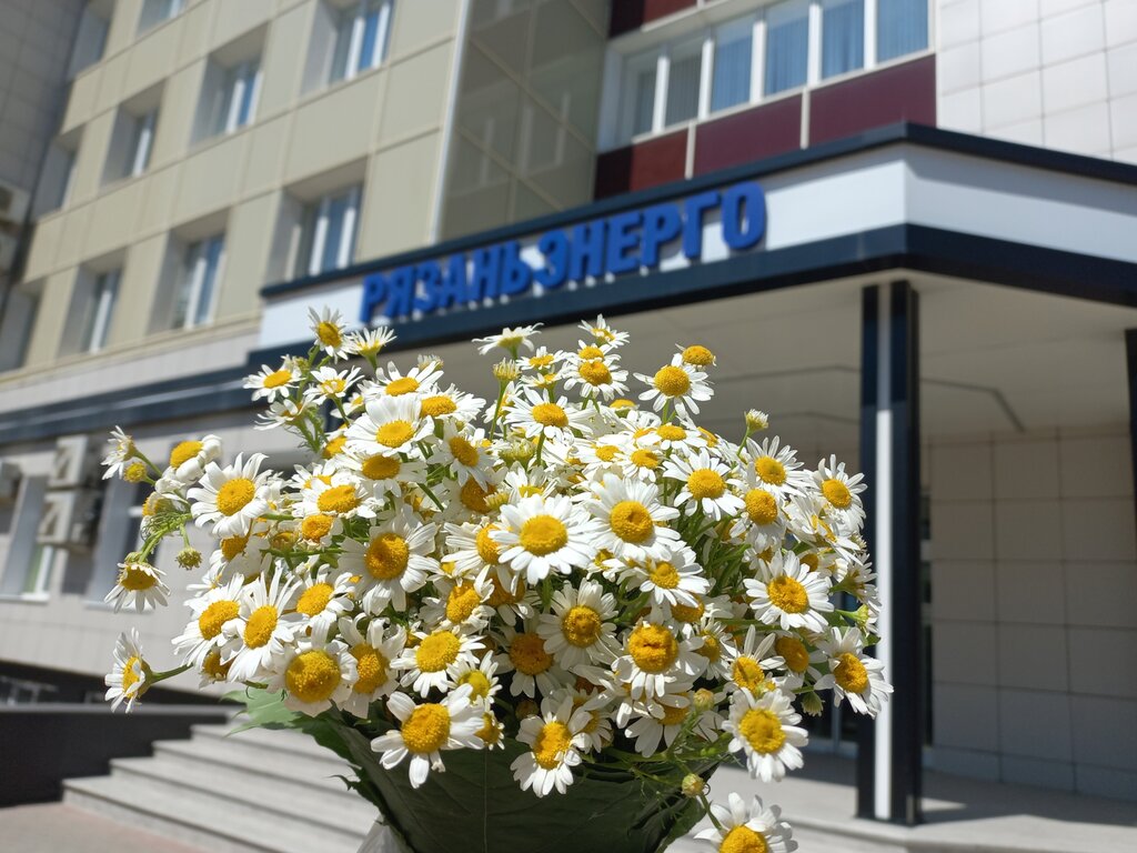 Energy company Mezhregionalnaya raspredelitelnaya setevaya kompaniya Tsentra i Privolzhya, filial Ryazanenergo, Ryazan, photo