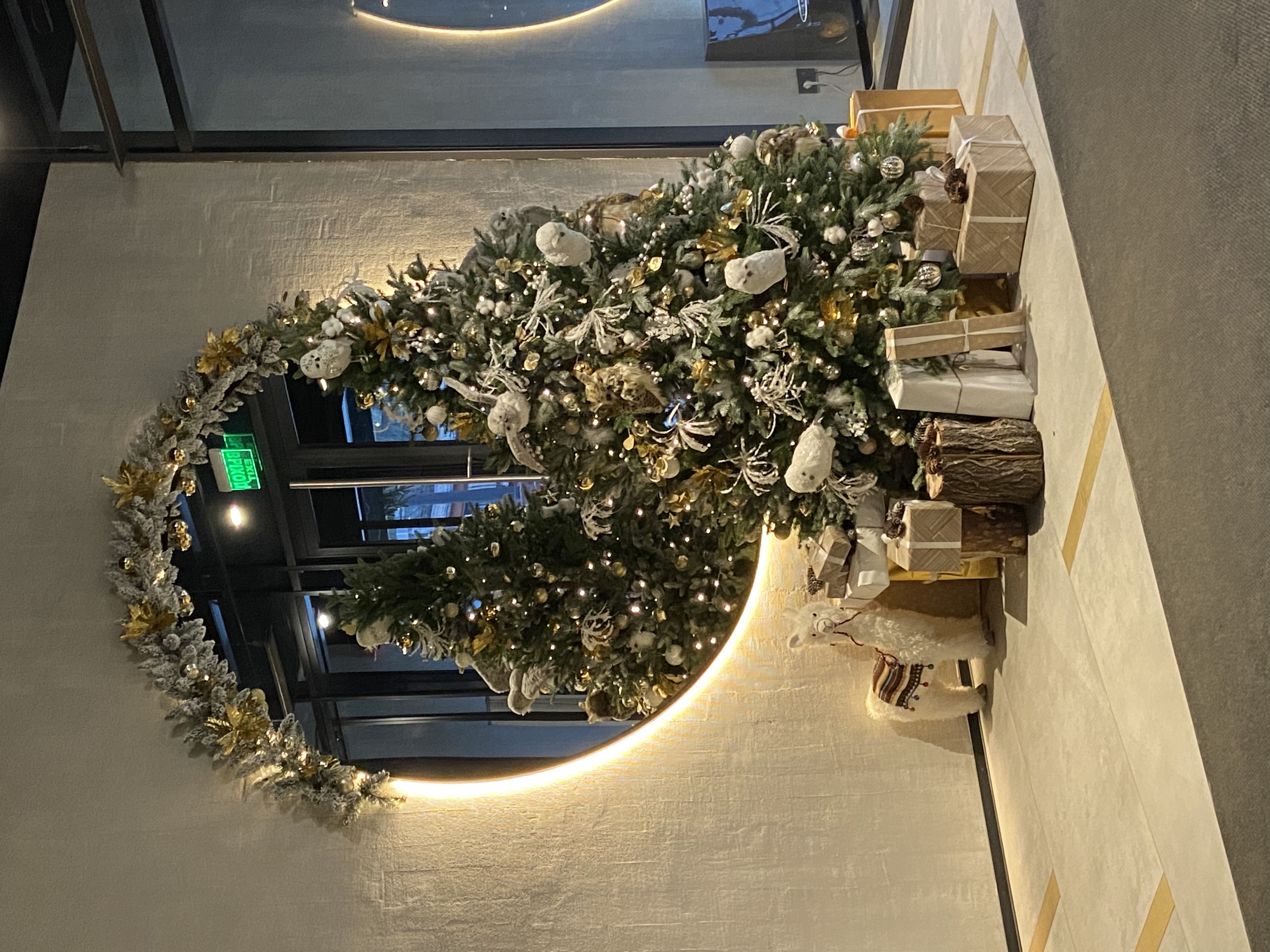 Фото Ярд Резиденс