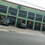 Ecoplus (Garden Road, 31), furniture store