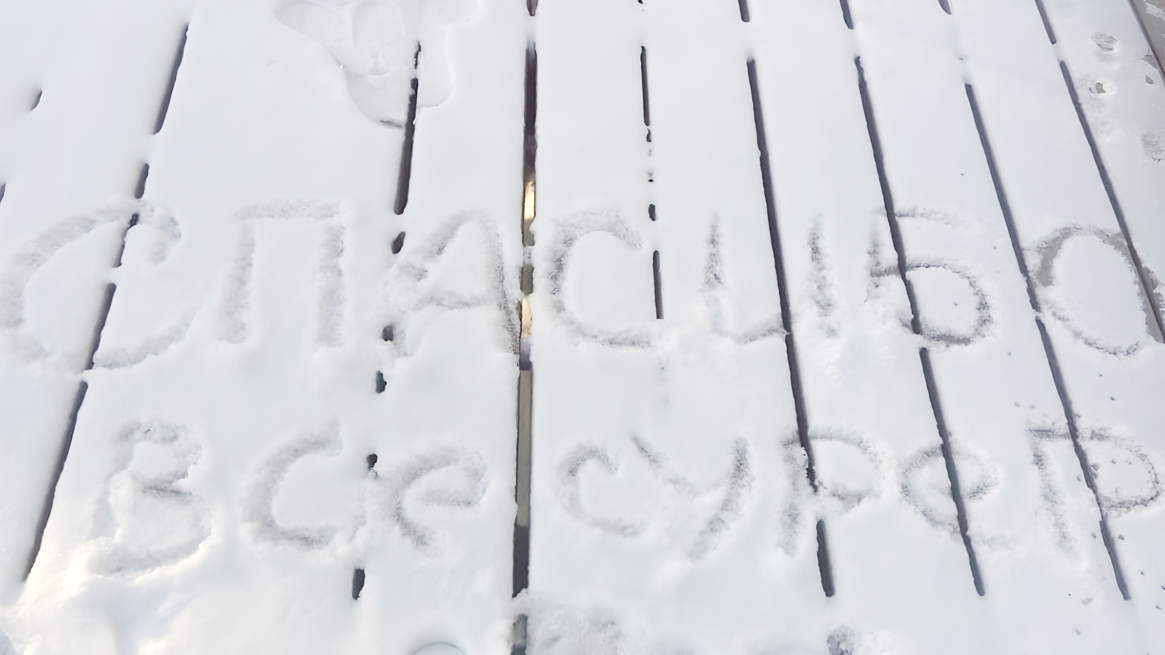 Фото Дуплекс