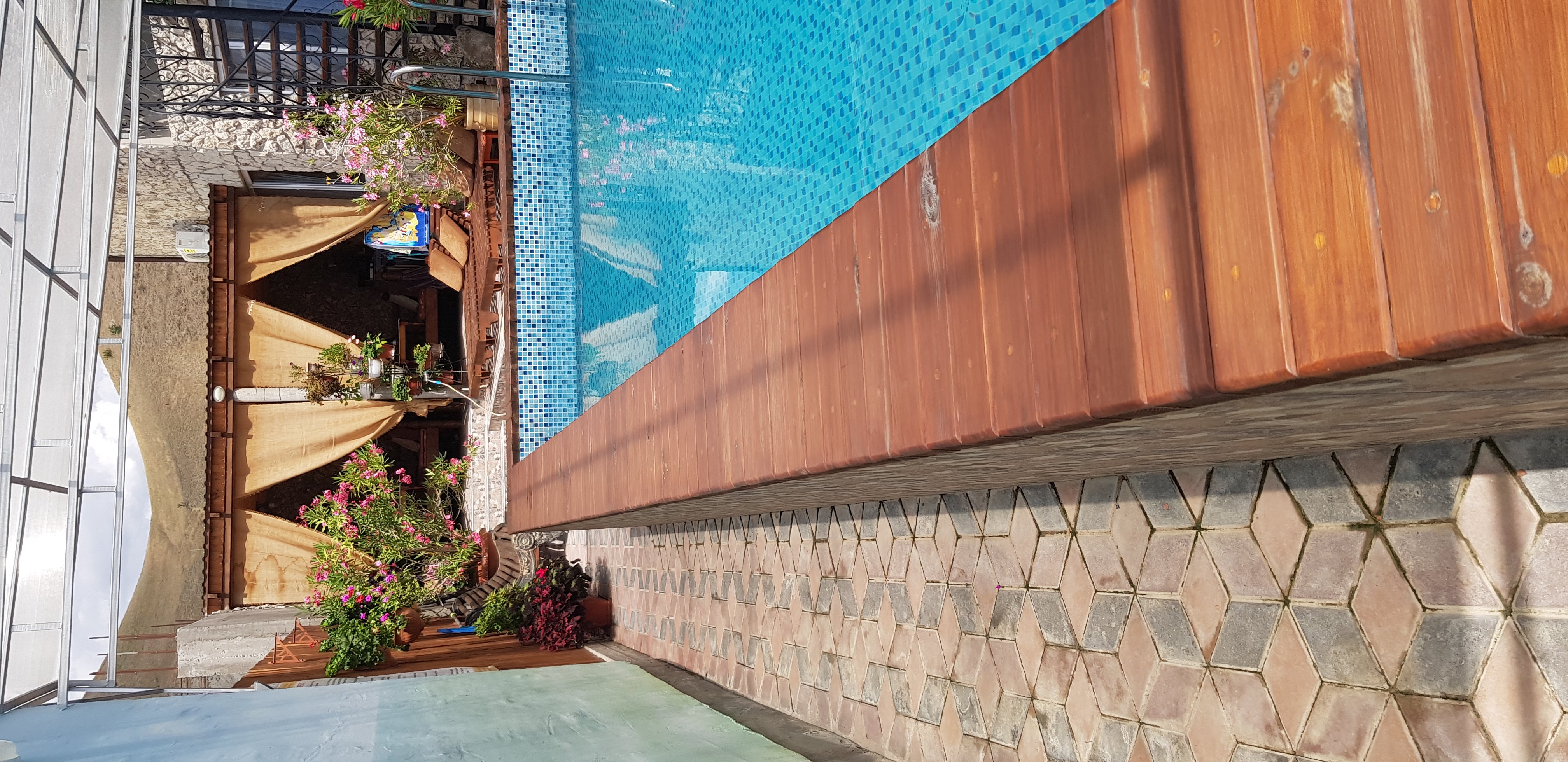 Фото Сапсан