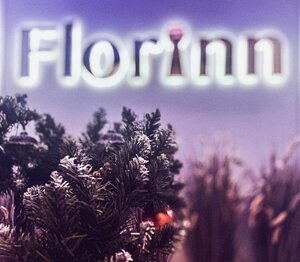 Флоринн