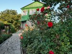 СНТ Нефтяник-131 (Saratov, SNT Neftyanik-131, 2-y Letniy tupik) ، مناطق الأكواخ الصيفية