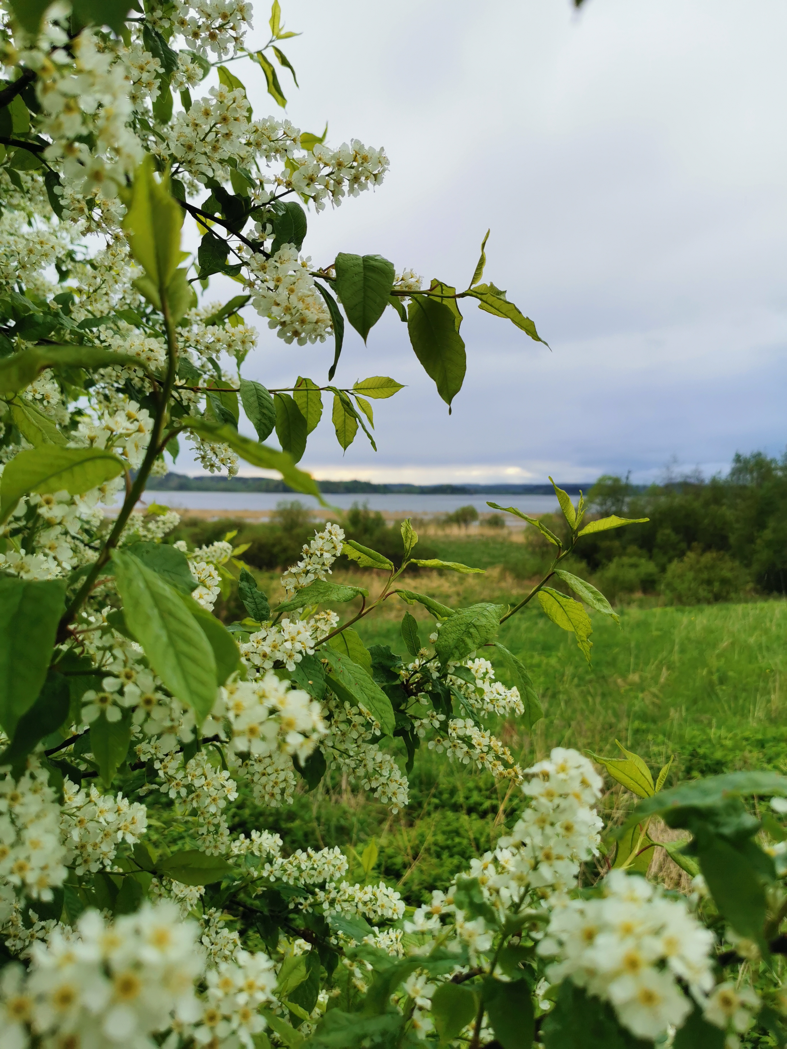 Фото Дом у озера Хюмпелянъярви