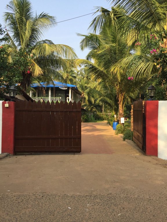 Фото Morjim Coco Palms Beach Resort