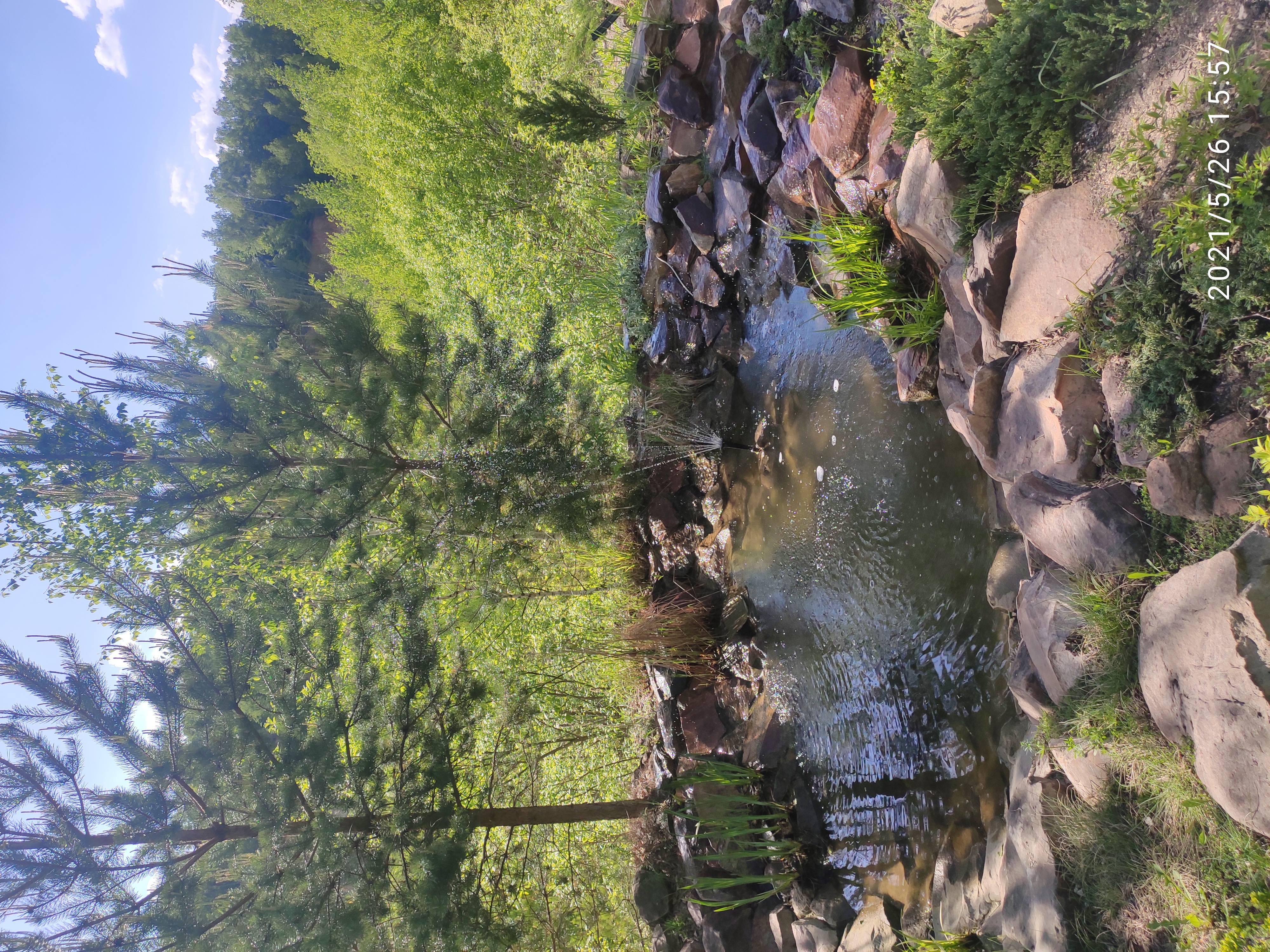 Фото Цитадель