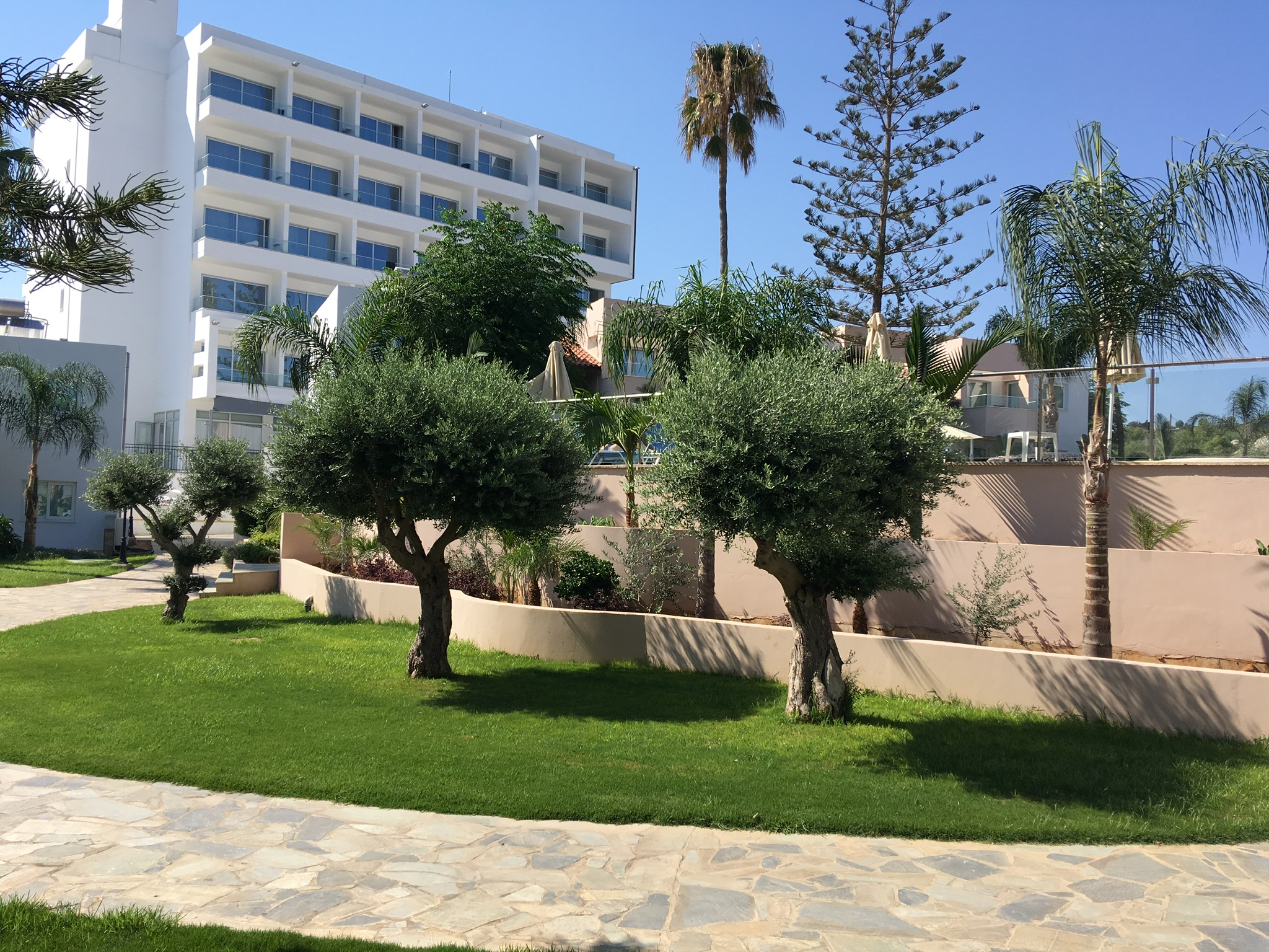 Фото Melissi Beach Hotel & SPA