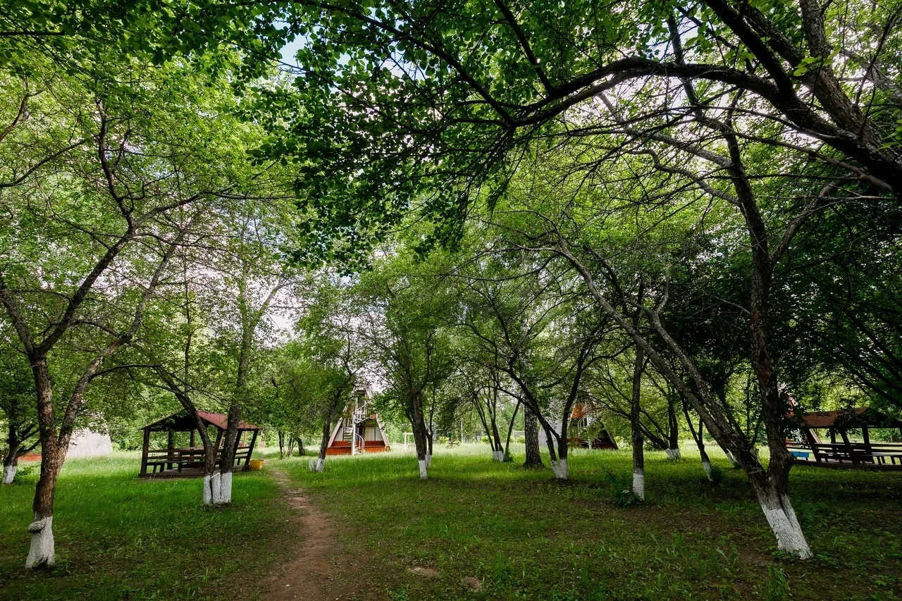 Фото Барбекю-парк Мечтатели