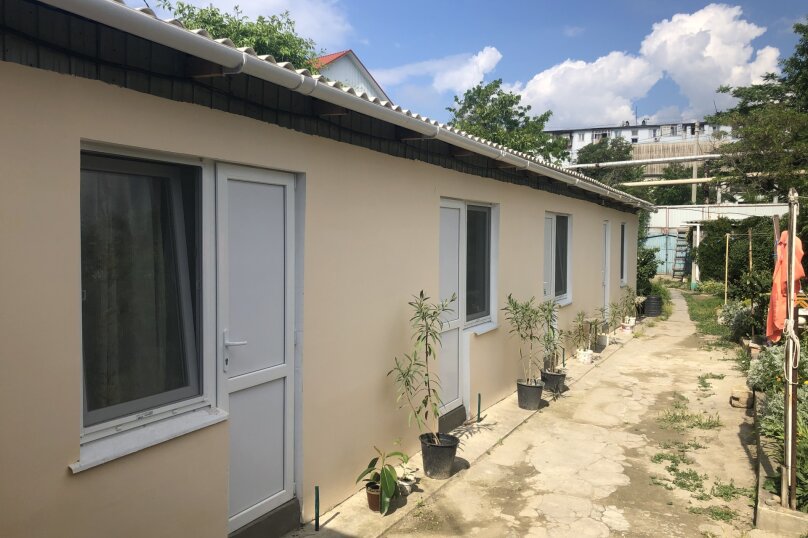 Фото Золотая Рыбка